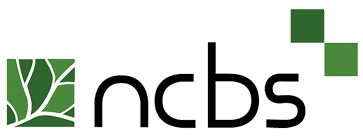 NCBS Logo